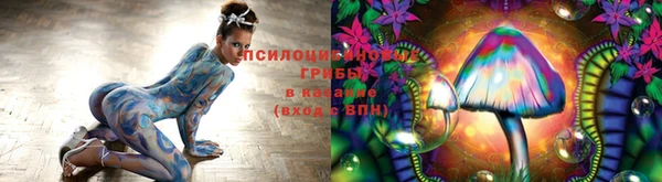 кокс Аркадак