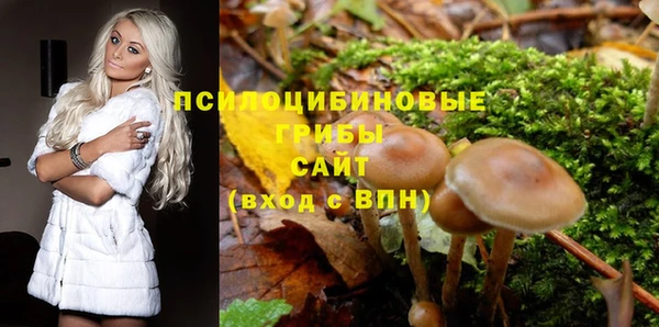 кокс Аркадак