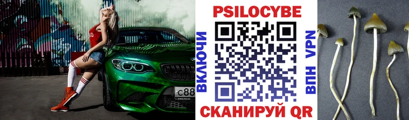 OMG зеркало  закладка  Артёмовск  Галлюциногенные грибы мухоморы 